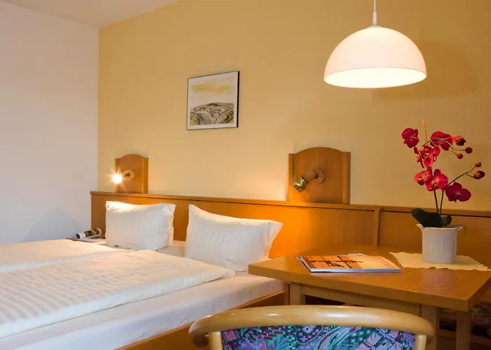 Appartementhotel Mitterdorf 3*